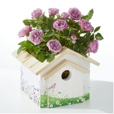 Lavender Mini Rose in Decorative Birdhouse