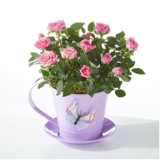 You're My Cup of Tea Mini Pink Rose