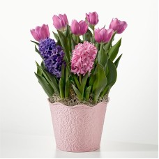 Let Your Love Grow Bulb Garden