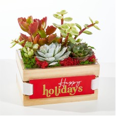 Holly Jolly Succulent Crate