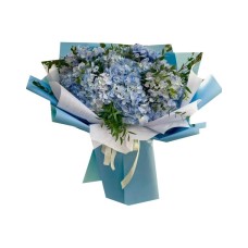 Special Hydrangeas (Basic)
