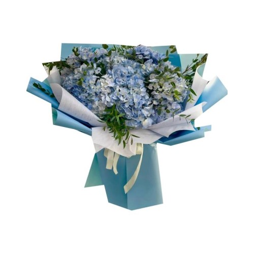 Special Hydrangeas (Basic)