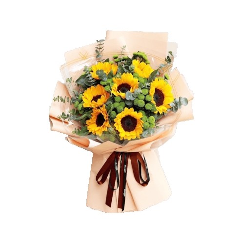 Sincere Wishes (Basic)