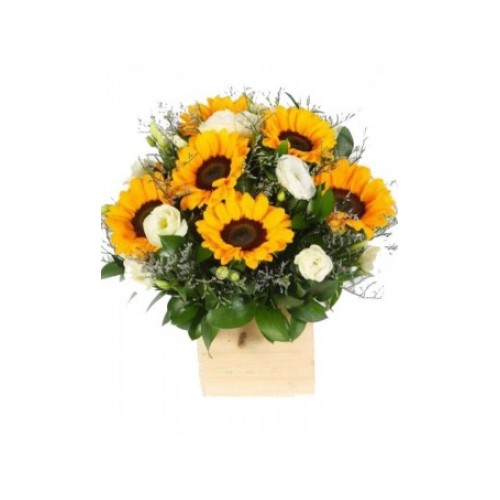 Arrangement Of Sun Kissed Love (Basic)