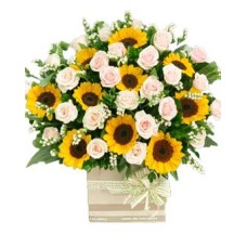 Blushing Sunflowers (Basic)