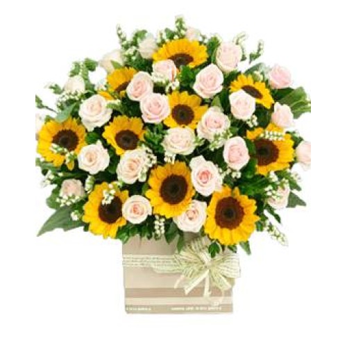 Blushing Sunflowers (Basic)