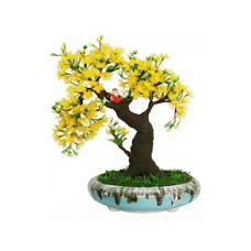 Apricot Blossom Tree 50 Cm