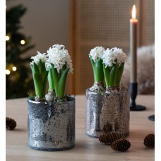 Swivel in glass pot