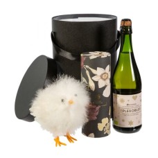 Gift Box With Apple Bubbles And Easter Chicken