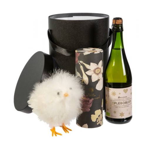 Gift Box With Apple Bubbles And Easter Chicken