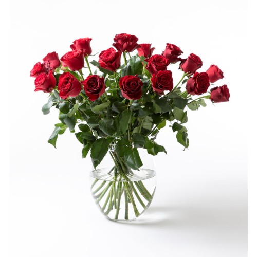 20 long-stemmed red roses