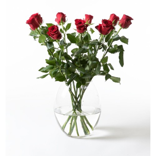 9 long-stemmed red roses