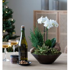 Orchid group with drink and chocolate