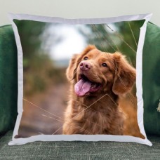 Satin Photo Cushion