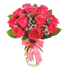 Hot Pink Roses