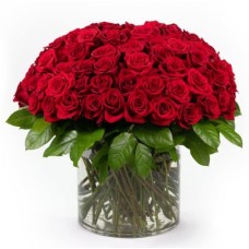 Simply WOW - 100 Red Roses