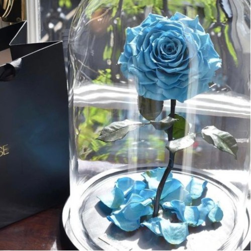 Eternal Preserved Light Blue Rose in Dome vase