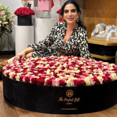 600 Luxury Roses Round Gift Box