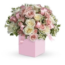 Elegant Pink Roses in a Gift Box