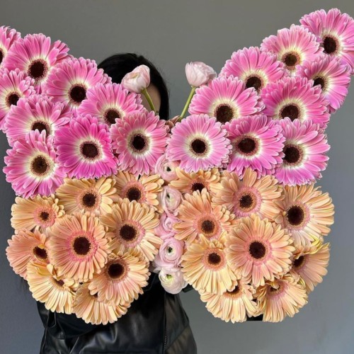 Butterfly Daisy Flower Arrangement