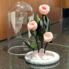 Eternal Preserved Pink Peonies in Dome vase