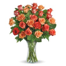 Orange Roses in a Vase
