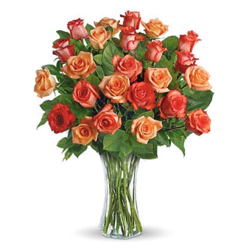 Orange Roses in a Vase