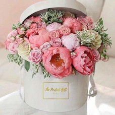 Pastel Pink Peonies in Round Gift Box