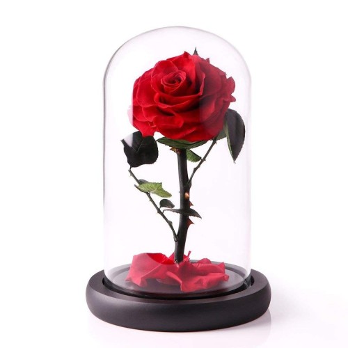 Eternal Preserved Red Rose in Dome vase (Small)