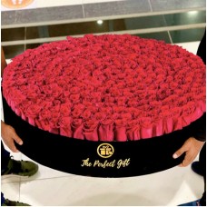 500 Luxury Red Roses in Velvet Box