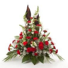 Red Carnations Arrangement