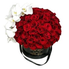 Luxurious 200 Roses & White Phalaenopsis Flowers Gift Box