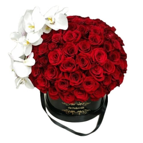 Luxurious 200 Roses & White Phalaenopsis Flowers Gift Box