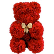 50 cms Large Floral Teddy Shape