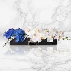 Blue Hydrangeas With White Orchids Gift Box