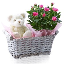 Teddy & Pink Roses Gift Basket