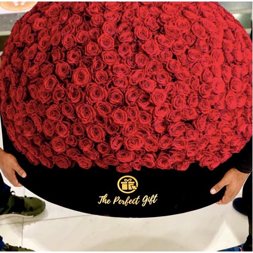 1000 Luxury Red Roses in Velvet Box