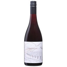 2019 Greystone Vineyard Ferment Pinot Noir