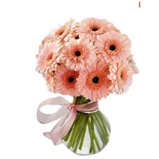 10 Gerbera Daisies Bouquet