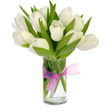 10 White Tulips