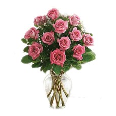 12 Fuchsia Pink Roses