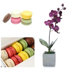 Orchid and Macarons Package