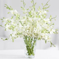 Grand White Orchids Bouquet