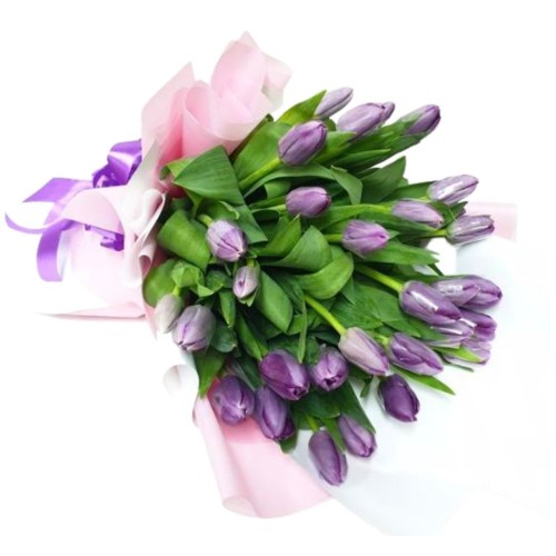 30 Violet Tulips Bouquet