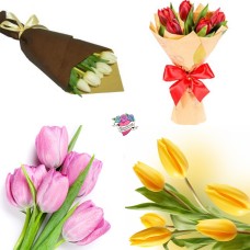 5 Tulips Bouquet  Choose Color!