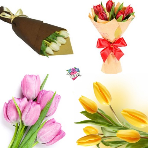 5 Tulips Bouquet  Choose Color!