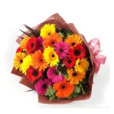 20 Assorted Gerbera Daisies