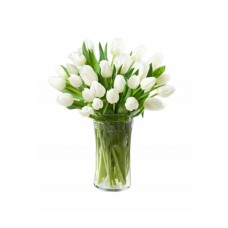 20 White Tulips