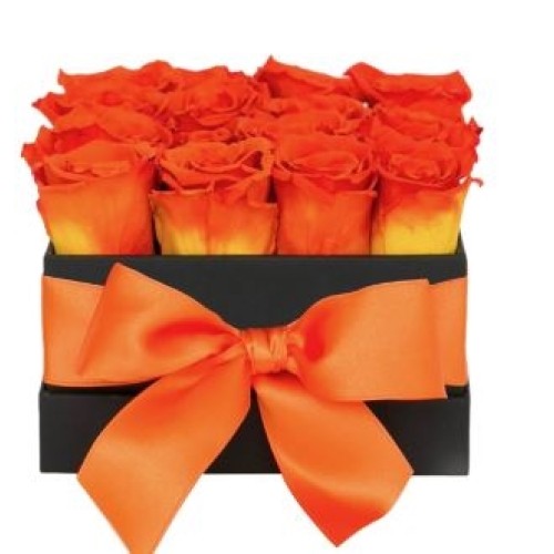 24 Korean Roses Square Box