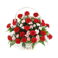 30 Pink & Red Carnations Basket